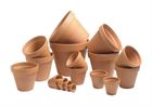 teracotta plant pots