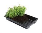 1a-w0002-seed-trays-5-with-plants_13