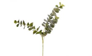 Artificial Plant Eucalyptus Spray 62x30cm
