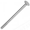 Carriage bolt ss