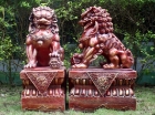 Garden Ornament TEMPLE DOG SMALL PAIR RED RED Colour 44cm