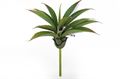 Artificial Plant Succulent Pick 25x15cm