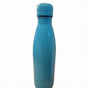 Water Bottle WARRIOR SS 750ml Blue