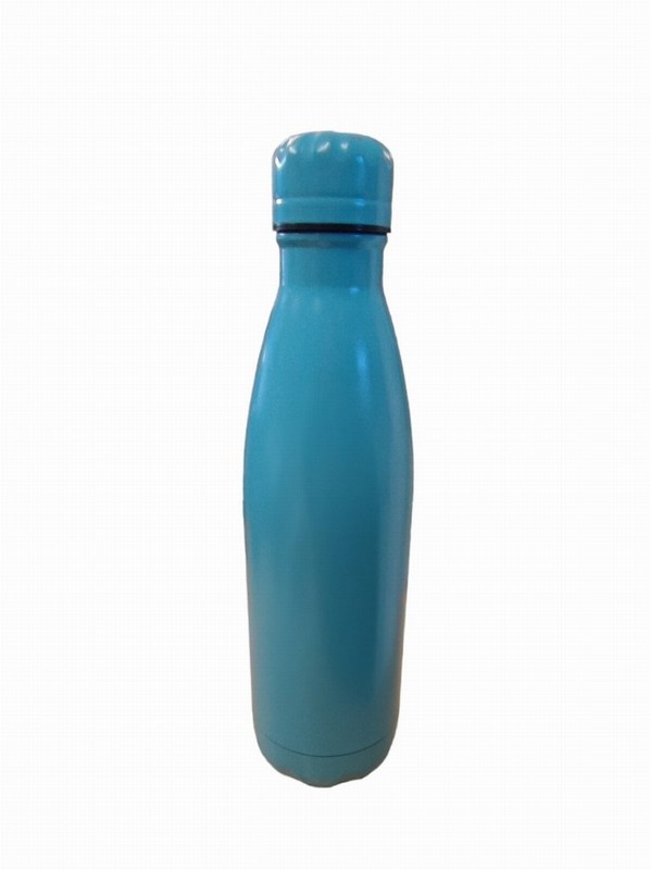 Water Bottle WARRIOR SS 750ml Blue