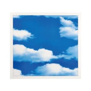 LED Ceiling Panel 40Watt 3D Cloud Pattern 6000K DL