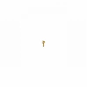 Handle Pull Rosette Peardrop Brs 2"  D