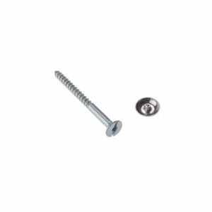 Screw Mirror 19mm Chrome Top