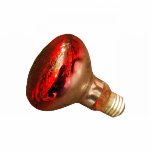 Lamp Spot R80 60w ES Red [+C]