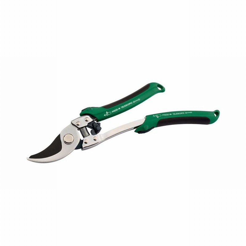 Secateurs DRAPER Expert Extending Bypass Pattern