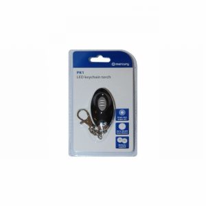 Torch LED Keychain D