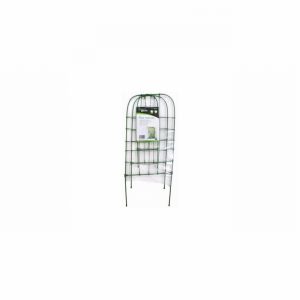 Trellis Plant 3Pce.