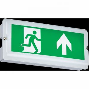 Emergency Light Maintained & Non 3Watt LED IP65