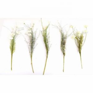 Artificial Wild Flower Cream & Stem 56cm