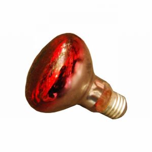Lamp Spot R80 60w ES Red [+B]