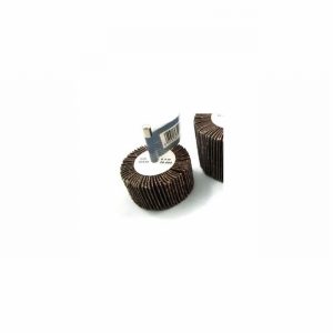 Sanding Flap Wheel Arbor Mounted for Drill 60x30 40Grit