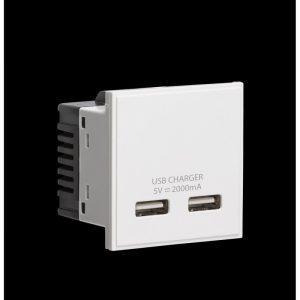 USB Socket 2Gang 2Module White