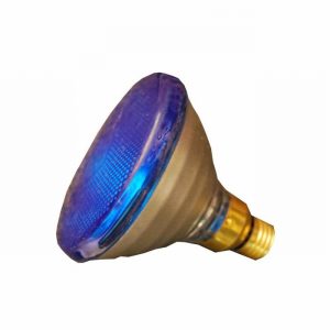 Lamp Par38 80w Flood BLUE D