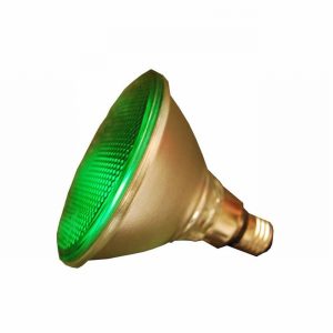 Lamp Par38 80w Flood GREEN