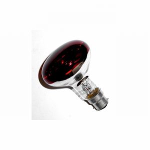 Lamp Spot R80 60w BC Red