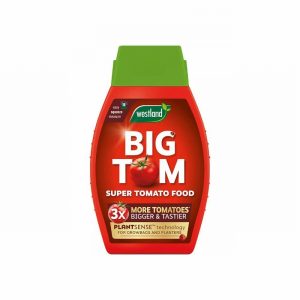 Tomato Feed WESTLAND Big TOM 1Ltr.