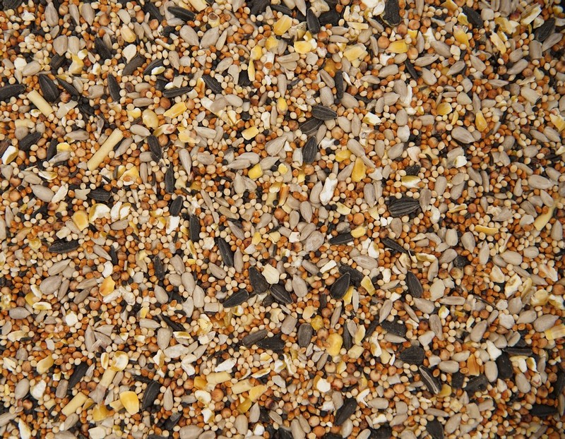 Bird Feed Blue Tit Blend 1.8Kg - Image 2