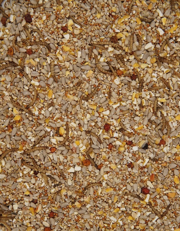 Bird Feed Robin Blend 1.8Kg - Image 2