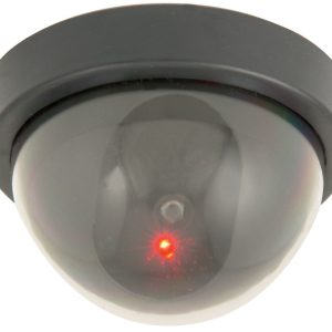 Camera Imitation Dome